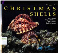 Christmas Shells