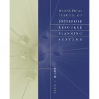 Image of Managerial issues of enterprise resource planning systems