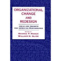 Organizational Change And Redesign