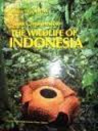 Nature's Treasurehouse The Wildlife of Indonesia