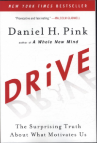Drive : The Surprising Truth about What Motivates Us