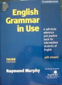 English Grammar In Use