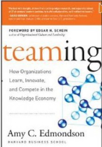 Teaming: How Organizations Learn, Innovate, and Compete in the Knowledge Economy