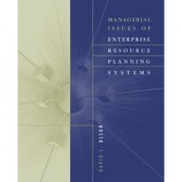 Managerial issues of enterprise resource planning systems