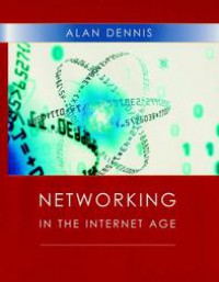 Image of Networking in the Internet Age
