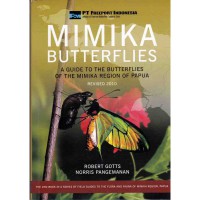 Image of Mimika butterflies