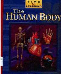 Image of The Human Body