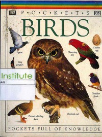 Image of Birds: Pockets Full Of Knowladge