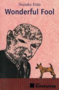 Image of Wonderful Fool