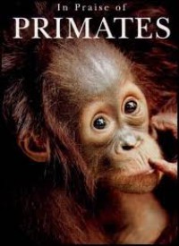 Image of In Praise of Primates