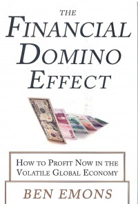 Image of The Financial Domino Effect: How to Profit Now in the Volatile Global Economy