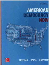 Image of American Democracy Now (4e)