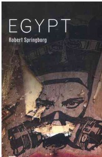 Image of Egypt (Hot Spots in Global Politics)