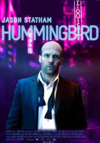 Image of Hummingbird