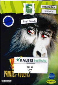 Image of Wild On The Set: Primates Rodents