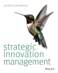 Image of Strategic Inovation Management