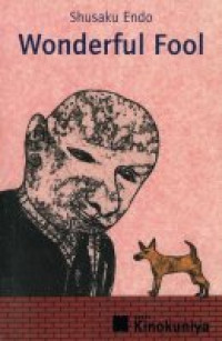 Image of Wonderful Fool