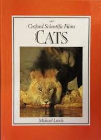 Image of Oxford Scientific Films : Cats