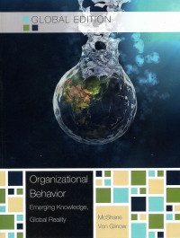Image of Organizational Behavior Emerging Knowledge, Global Reality: Edition 7