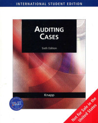 Image of Auditing Cases