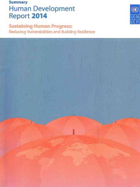Image of Human Development Report 2014