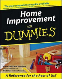 Image of Home Improvement for Dummies