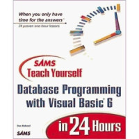 Image of Database Programming with Visual Basic 6 in 24 Hours